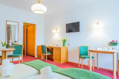 TV/Unterhaltungsangebot in der Unterkunft Hotel garni Weberhäusl