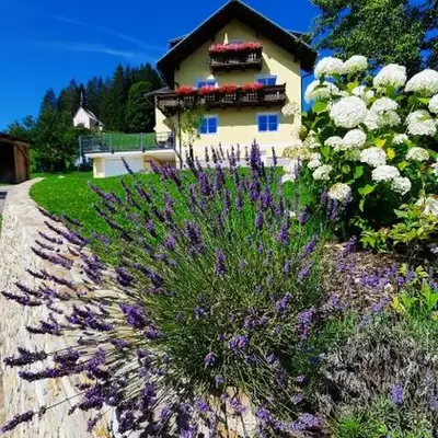 Kalvarienberg Appartement Gosau