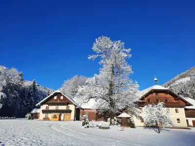 Ferienhaus Laimerbauer im Winter