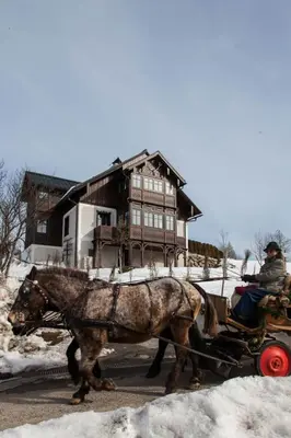 Tiere in der Villa oder in der Nähe