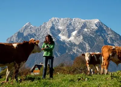 Naturlandschaft in der Nähe der Ferienwohnung