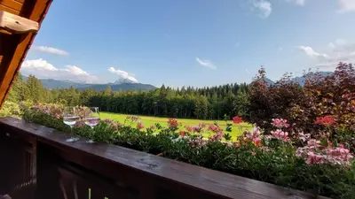 Naturlandschaft in der Nähe der Ferienwohnung