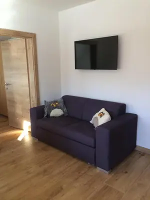 TV/Unterhaltungsangebot in der Unterkunft Appartement Döringerhof
