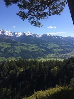 Naturlandschaft in der Nähe der Ferienwohnung