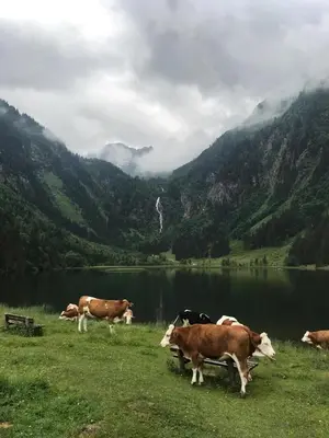 Naturlandschaft in der Nähe der Ferienwohnung