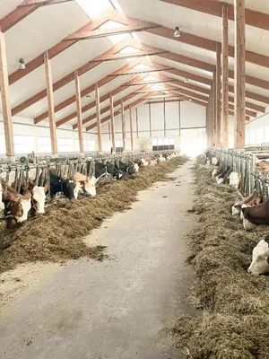 Tiere in der Ferienwohnung oder in der Nähe