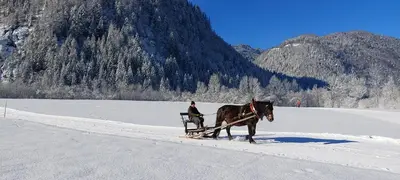 Landhaus Algerhof im Winter