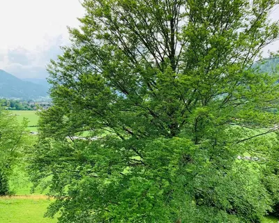 Naturlandschaft in der Nähe der Ferienwohnung