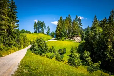 Naturlandschaft in der Nähe der Ferienwohnung