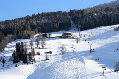 Mitterwallnerhof im Winter