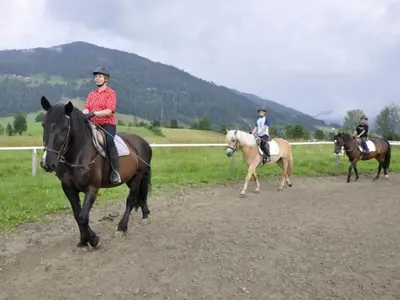 Tiere in der Ferienwohnung oder in der Nähe