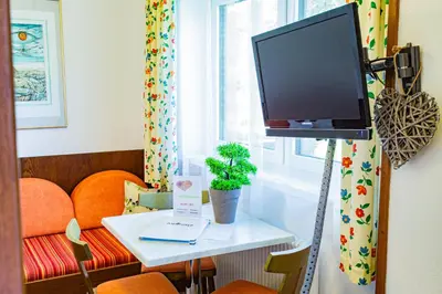 TV/Unterhaltungsangebot in der Unterkunft Soldanella 1 by Alpenidyll Apartments