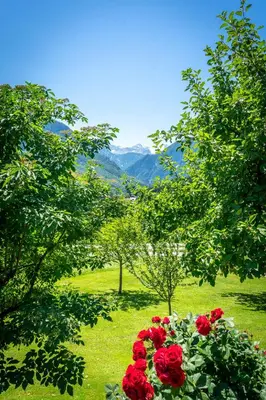 Naturlandschaft in der Nähe des Ferienhauses