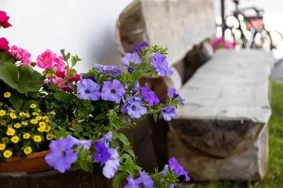 Ein Garten an der Unterkunft Pernerhof