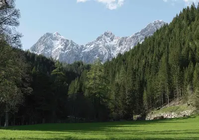 Naturlandschaft in der Nähe des Ferienhauses
