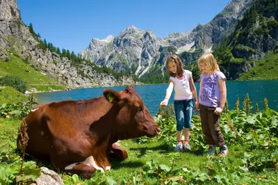 Naturlandschaft in der Nähe des Hotels