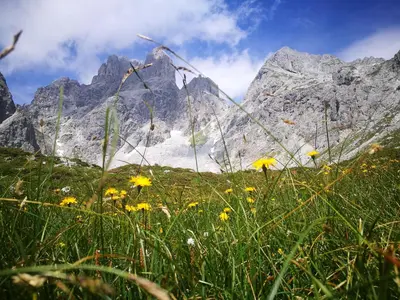 Naturlandschaft in der Nähe der Ferienwohnung
