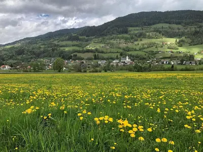Naturlandschaft in der Nähe des Ferienhauses