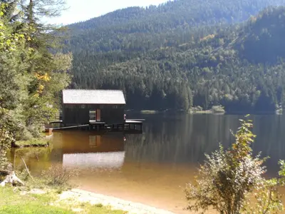 Naturlandschaft in der Nähe des Bauernhofs