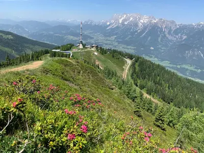 Naturlandschaft in der Nähe der Ferienwohnung