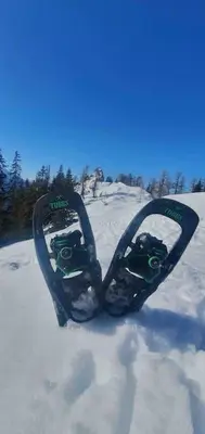 Alpenchalet im Steirischen Salzkammergut im Winter