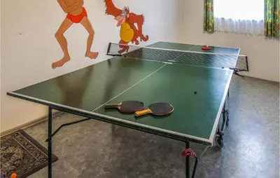 Tischtennis in der Unterkunft Ferienwohnung In Wagrain oder in der Nähe