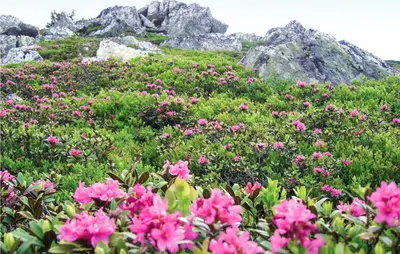 Naturlandschaft in der Nähe der Ferienwohnung