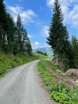 Naturlandschaft in der Nähe der Ferienwohnung