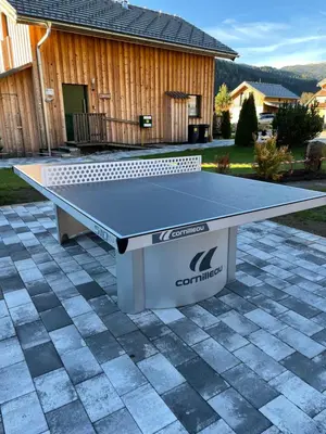 Tischtennis in der Unterkunft Chalet Steiermark oder in der Nähe