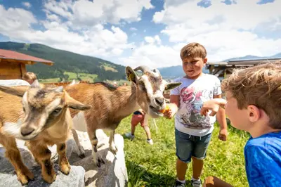 Tiere im Hotel oder in der Nähe