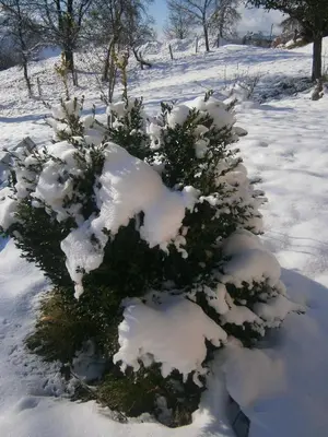 Landgut Feuersang im Winter