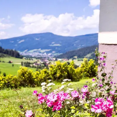 Ein allgemeiner Bergblick oder ein Berglick von des Ferienhauses aus