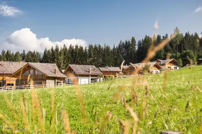 Naturlandschaft in der Nähe der Ferienwohnung