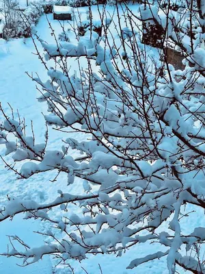 AUSZEIT Appartement im Winter