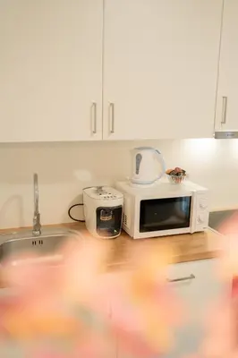 Küche/Küchenzeile in der Unterkunft Austrian Apartments