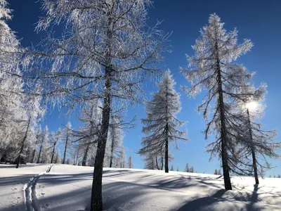 Grundriss der Unterkunft Sunlodge Oeblarn Top C3 Schladming-Dachstein