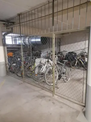 Radfahren an der Unterkunft Apartment Seezeit oder in der Nähe