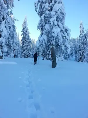 Ferienwohnung Bergblick im Winter