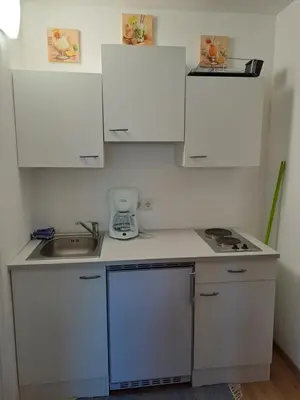 Küche/Küchenzeile in der Unterkunft Appartement Flachauliebe