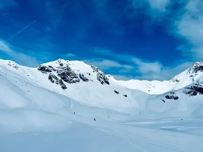 PREMIUM SKI IN/OUT - STEINADLER im Winter