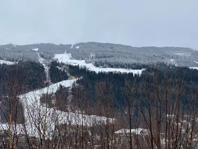 Naturlandschaft in der Nähe der Ferienwohnung