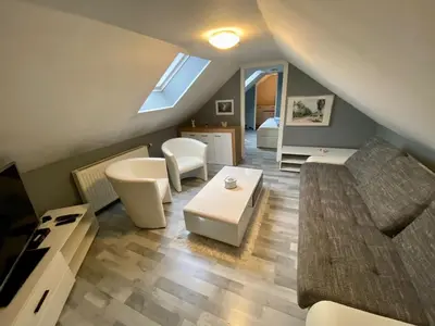 TV/Unterhaltungsangebot in der Unterkunft Apartment Mira