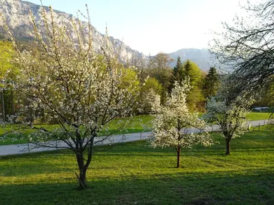 Naturlandschaft in der Nähe des Bauernhofs