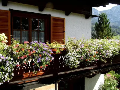 Ein Garten an der Unterkunft Biohof Schwanser