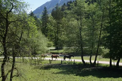 Naturlandschaft in der Nähe der Ferienwohnung