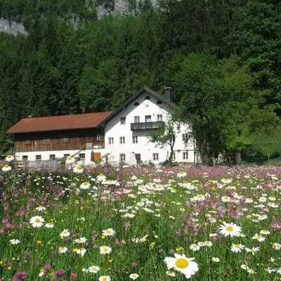 Ferienwohnung Bluntaumühle