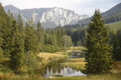 Naturlandschaft in der Nähe der Ferienwohnung
