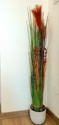 Grundriss der Unterkunft Apartment Steirawohnzimmer