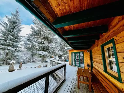 Chalet am Teich Familie Gänser im Winter