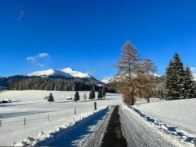 Naturlandschaft in der Nähe des Ferienhauses